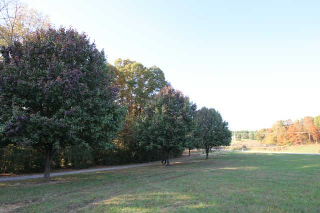 532 Sanders Mill Road Burns, TN 37029 - Photo 18 of 18 Tree Lined Long Driveway