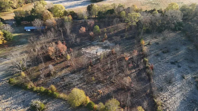 $50,000 | 0 Potluck Road, Canton, MS 39046