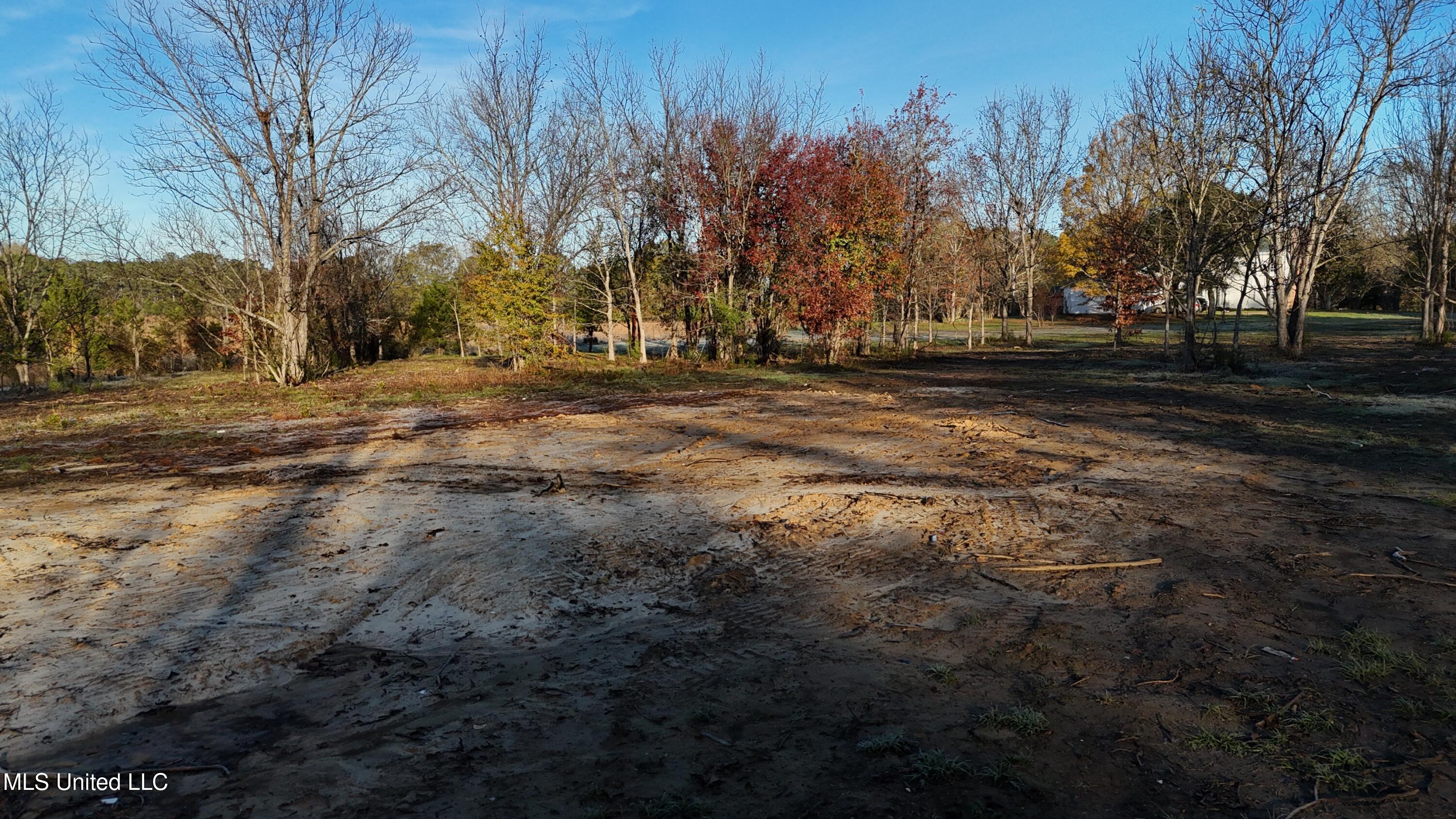 0 Potluck Road Canton, MS 39046 - Photo 3 of 12 dji_fly_20251211_080732_0616_17661048321