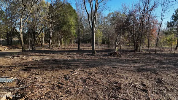 $50,000 | 0 Potluck Road, Canton, MS 39046