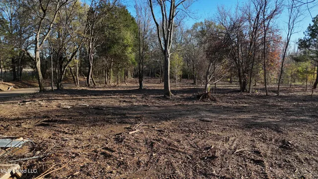 $50,000 | 0 Potluck Road, Canton, MS 39046