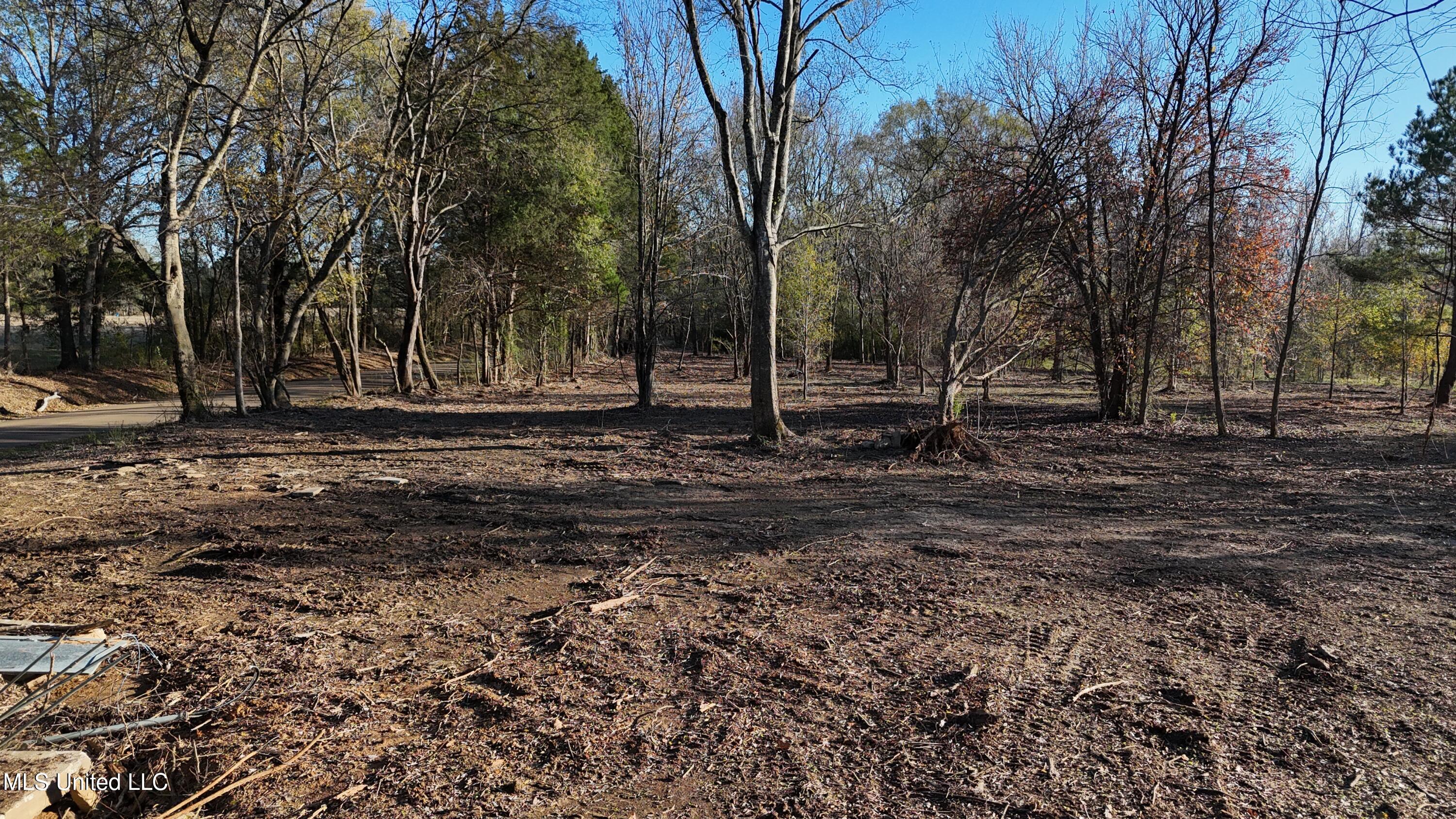0 Potluck Road Canton, MS 39046 - Photo 4 of 12 dji_fly_20251210_151646_0586_17661048495