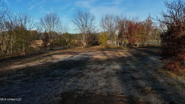 $50,000 | 0 Potluck Road, Canton, MS 39046