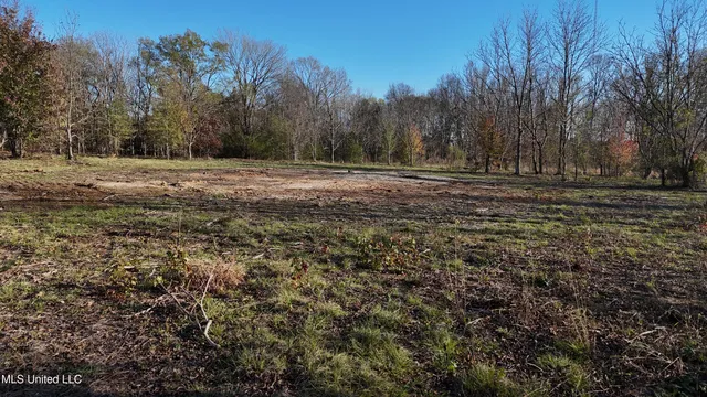 $50,000 | 0 Potluck Road, Canton, MS 39046