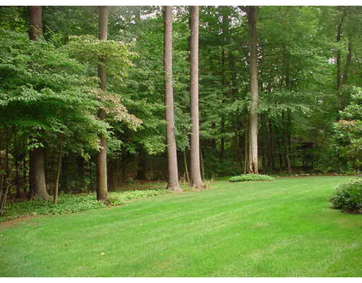 50 Dennis Road Longmeadow, MA 01106 - Photo 4 of 18 a backyard of a house with lots of green space