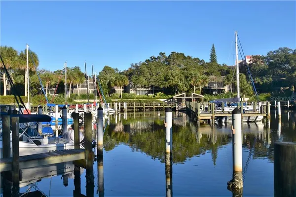 a lake view with boat and palm trees