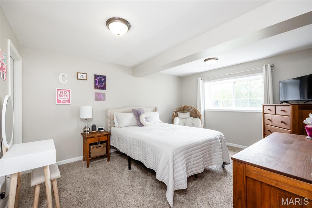 2832 Smokehouse Way Belleville, IL 62221 - Photo 19 of 30