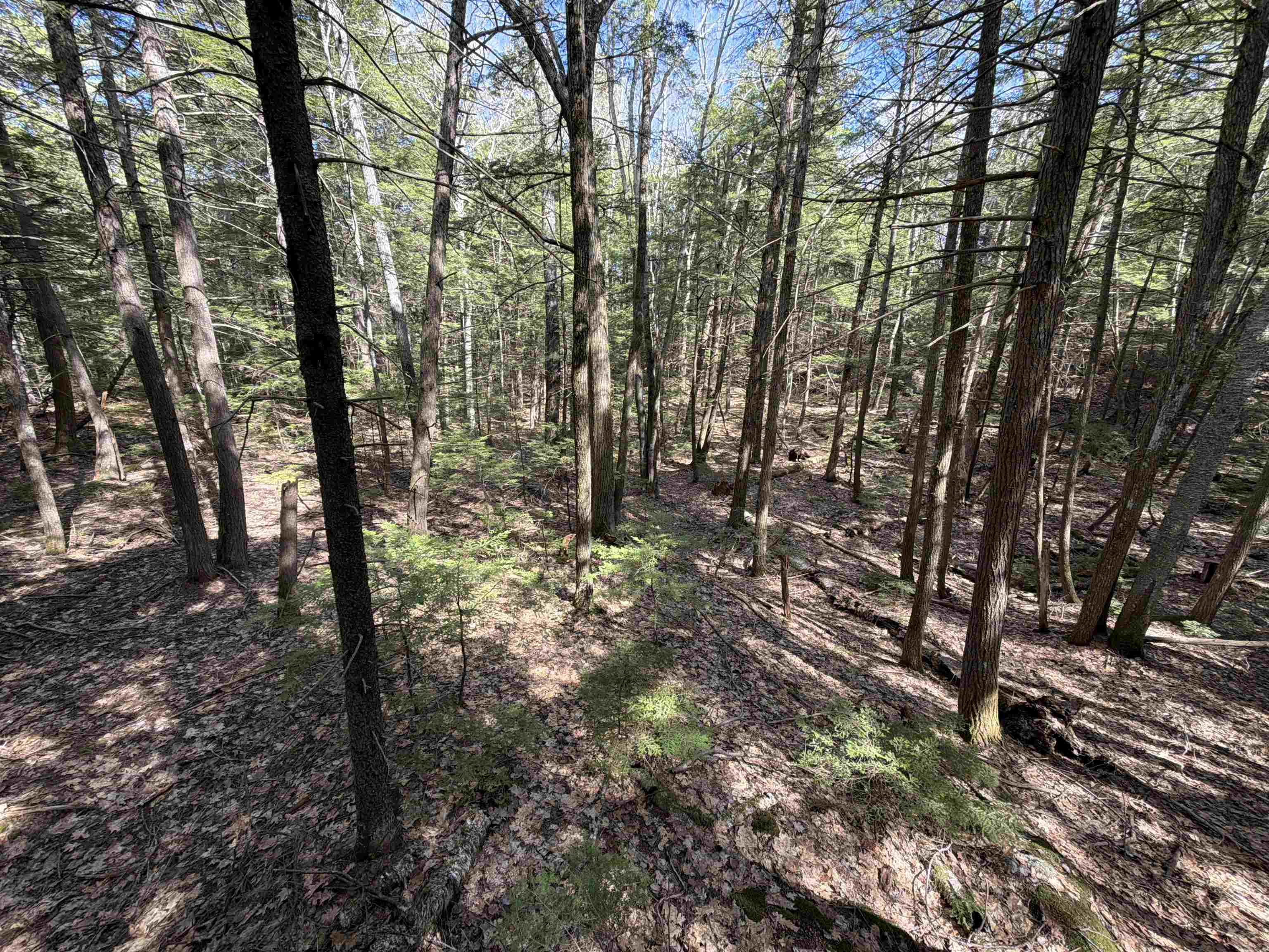 R29-l9 Roxbury Road, Unit LOT 9 Meredith, NH 03253 - Photo 33 of 36