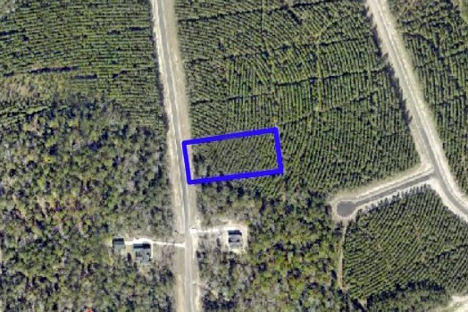 16222 Ridge Oak Road Willis, TX 77378 - Photo 4 of 26