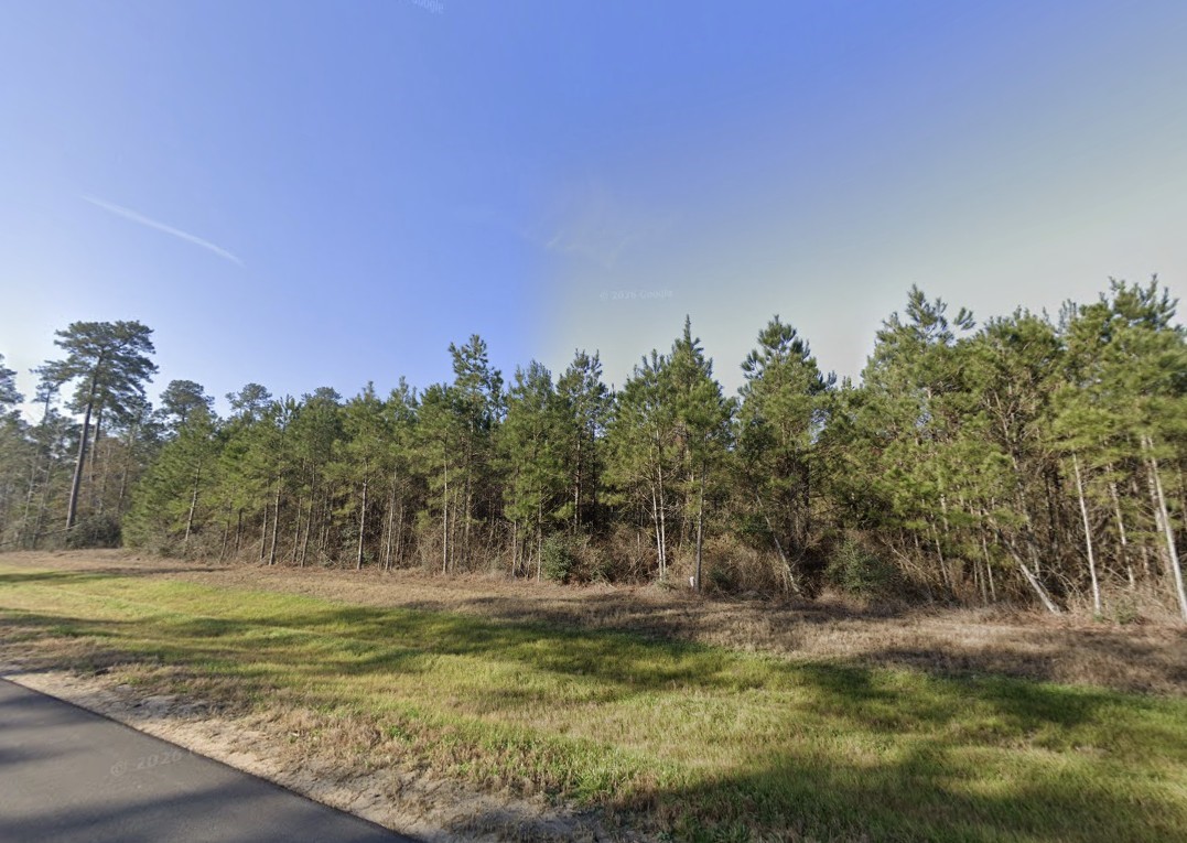 16222 Ridge Oak Road Willis, TX 77378 - Photo 7 of 26