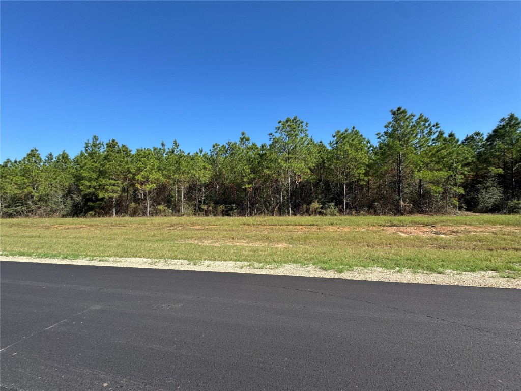 16222 Ridge Oak Road Willis, TX 77378 - Photo 8 of 26