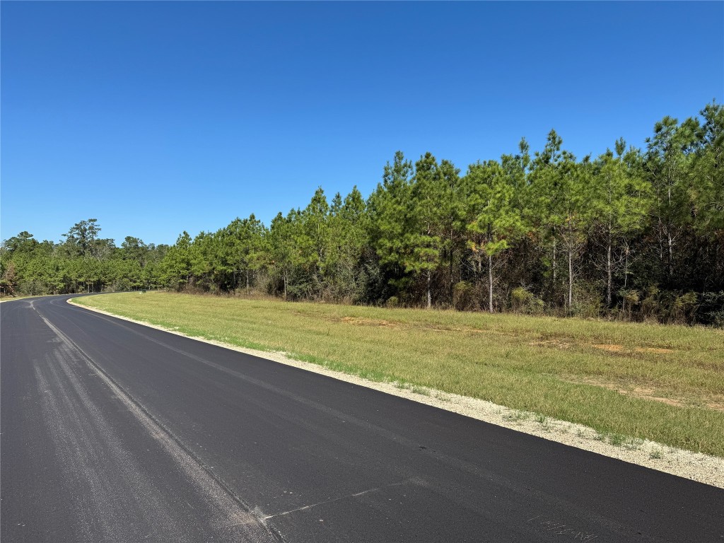 16222 Ridge Oak Road Willis, TX 77378 - Photo 10 of 26