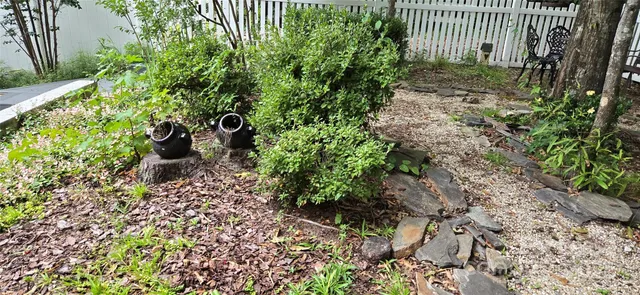a view of a yard in front of a house with a large tree