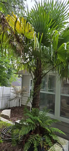 $2,800 | 1144 Blowing Rock Cove, Fort Mill, SC 29708