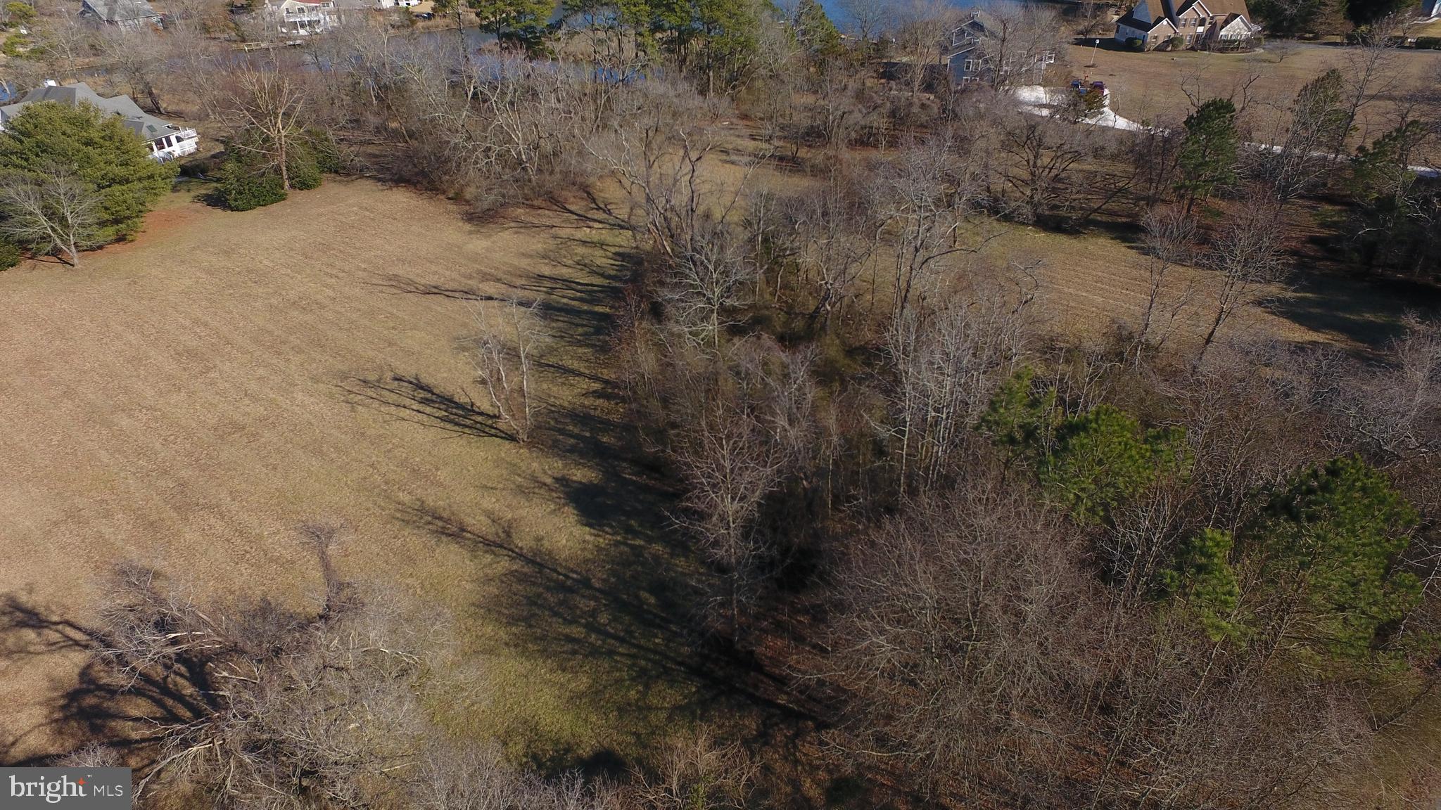 Muskrattown Road Bishopville, MD 21813 - Photo 20 of 37 Gallery Image 20