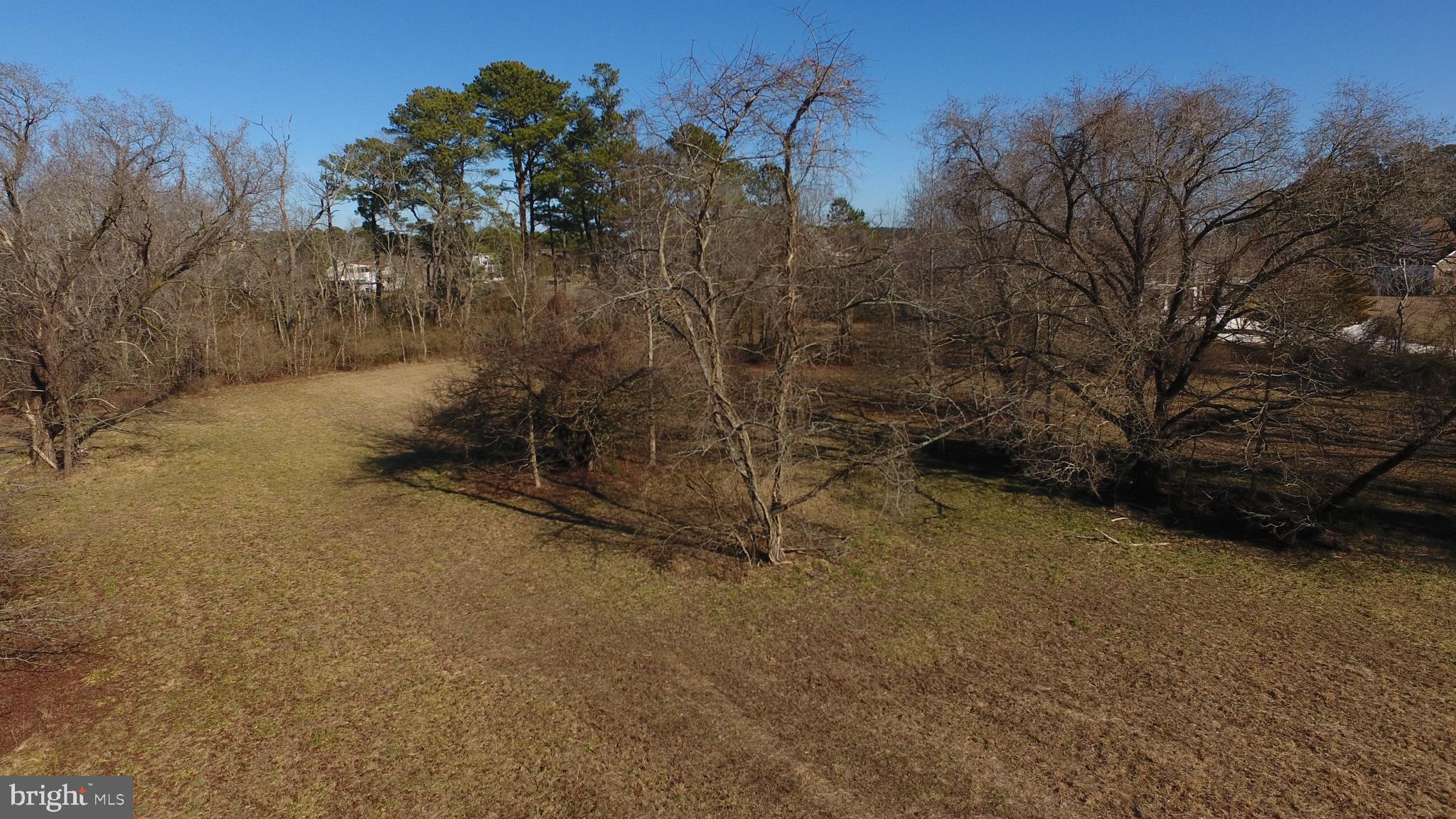 Muskrattown Road Bishopville, MD 21813 - Photo 33 of 37 Gallery Image 33