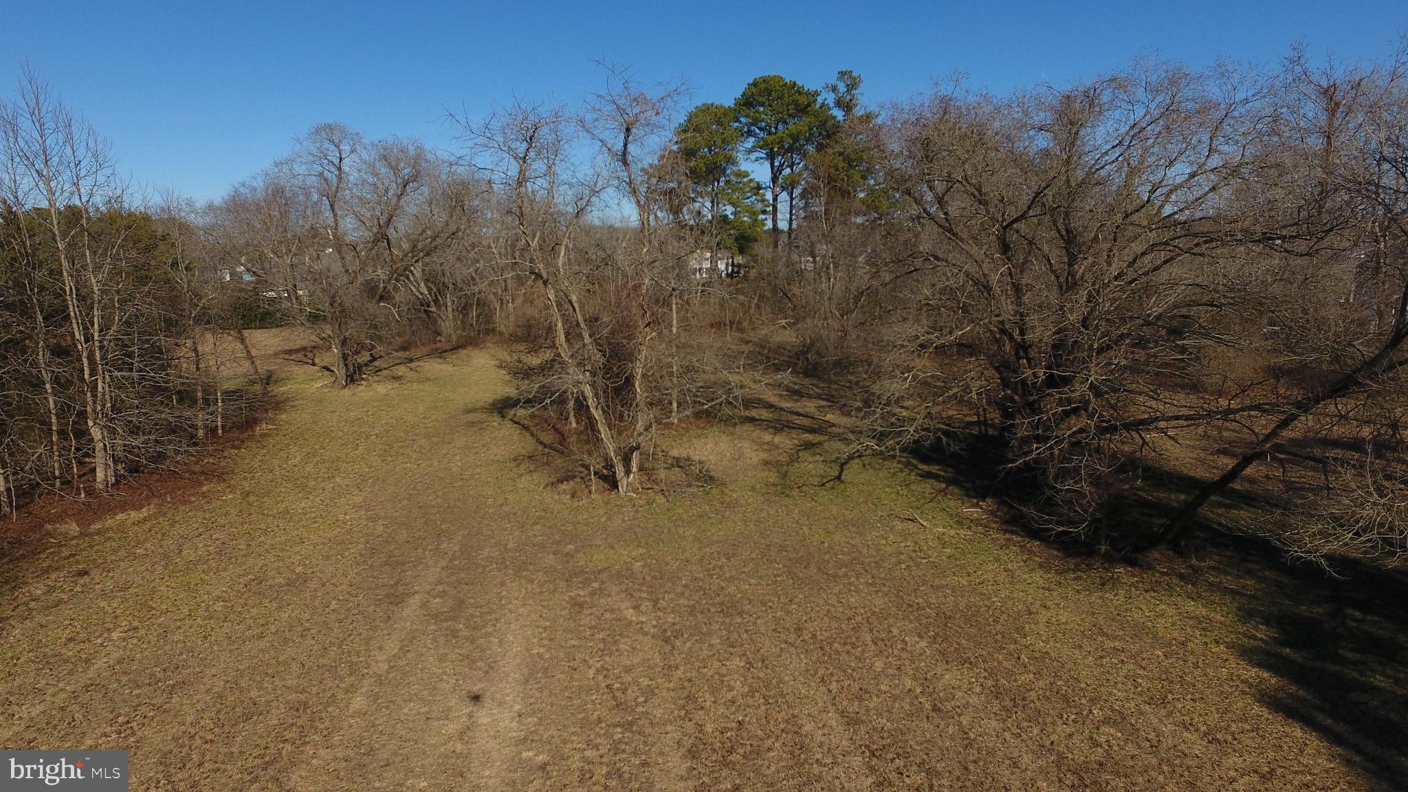 Muskrattown Road Bishopville, MD 21813 - Photo 34 of 37 Nice dry lot