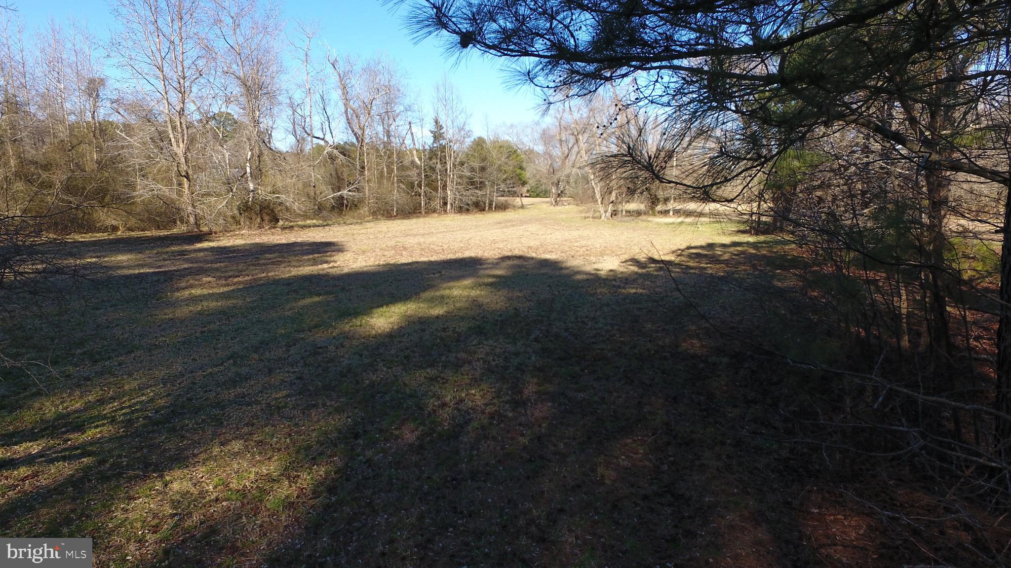 Muskrattown Road Bishopville, MD 21813 - Photo 35 of 37 Gallery Image 35