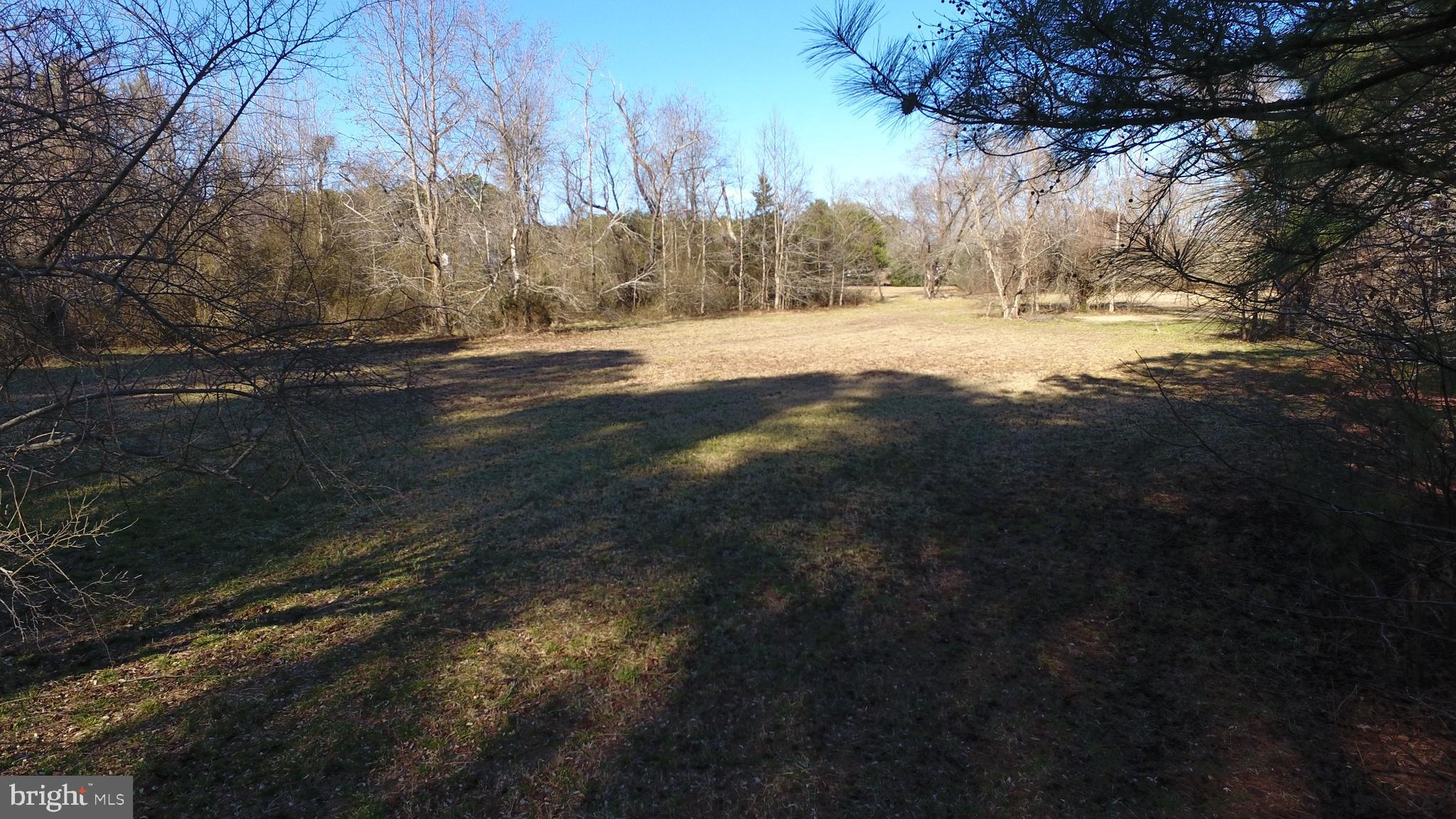 Muskrattown Road Bishopville, MD 21813 - Photo 36 of 37 Gallery Image 36