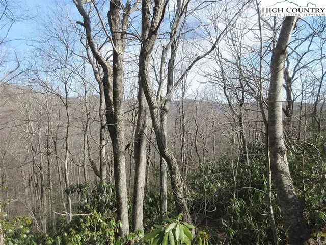 $109,900 | Lot 11 Saul's Camp Road, Blowing Rock, NC 28605