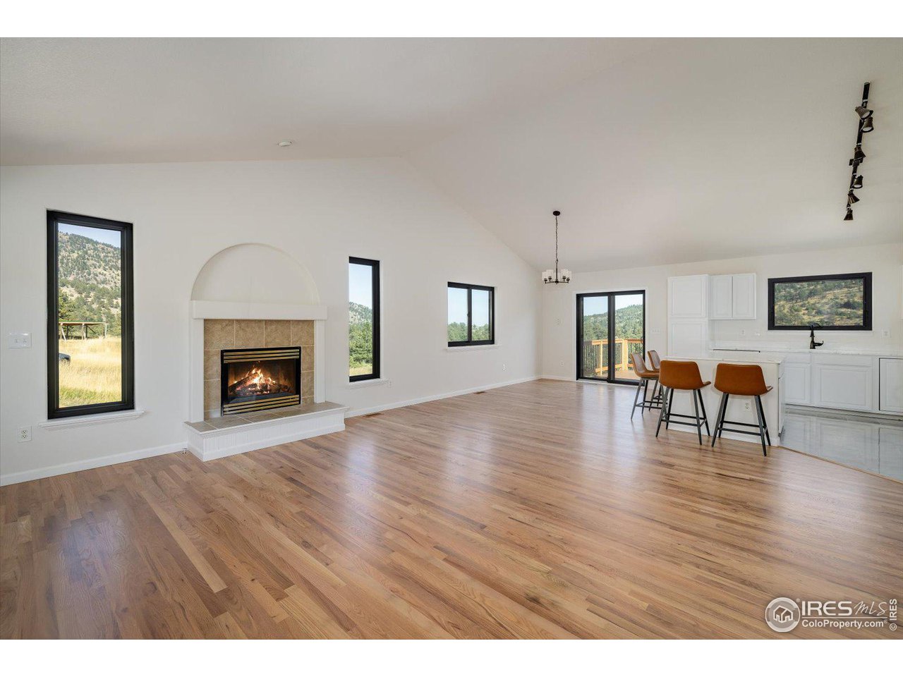 147 Makah Lane Lyons, CO 80540 - Photo 39 of 39 a view of empty room with fireplace and wooden floor