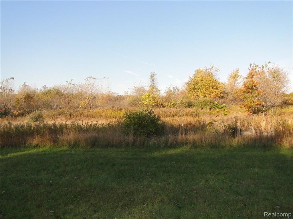 3901 Cemetery Road Fowlerville, MI 48836 - Photo 3 of 7 View Off Large Deck.
