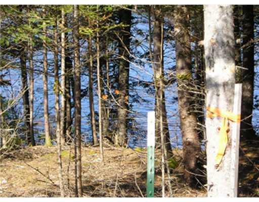 5 Camp Stream Point Lane Sedgwick, ME 04676 - Photo 4 of 8 Land. 75 marker for where you could...