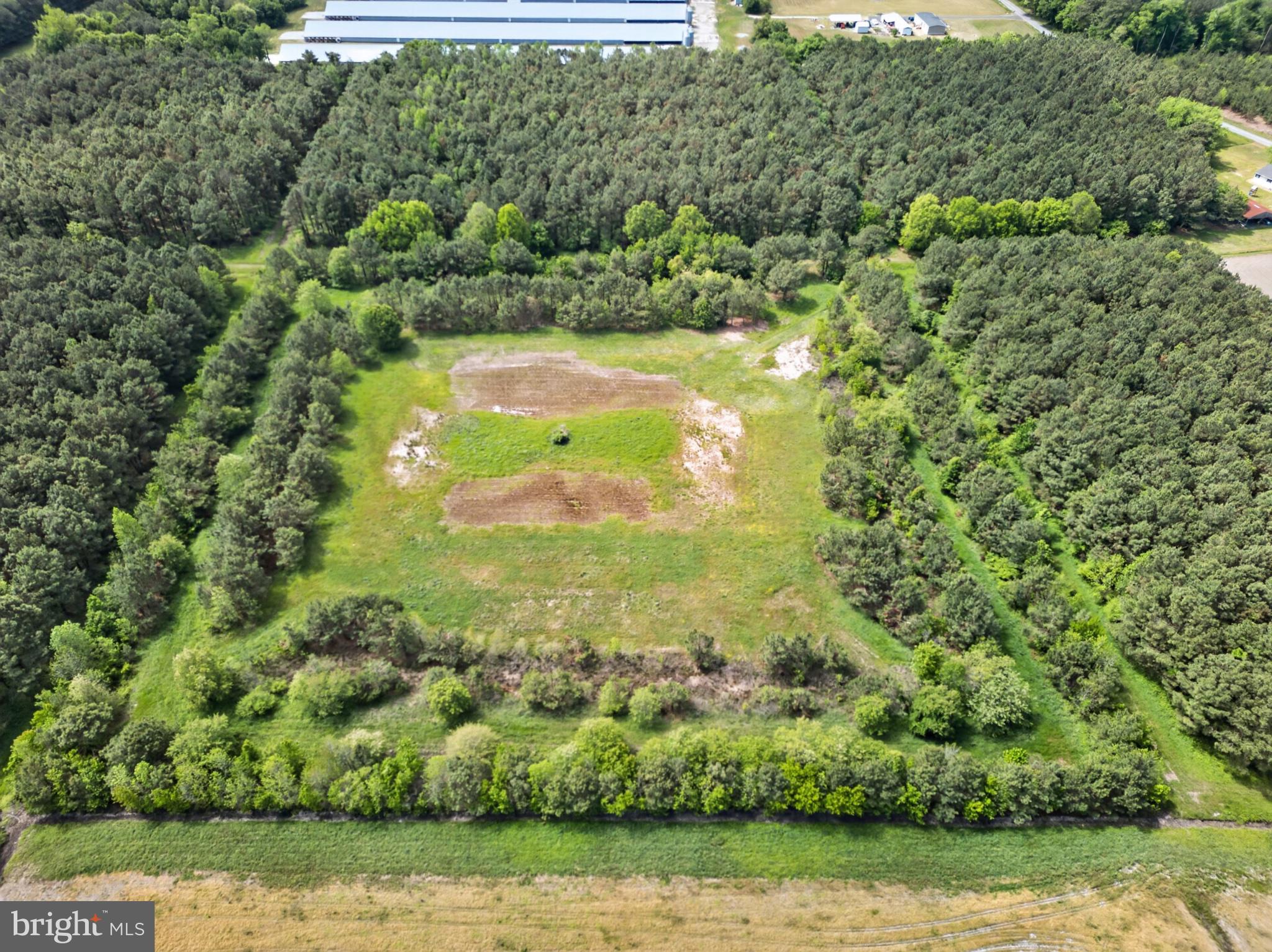 2435 Payne Road Pocomoke City, MD 21851 - Photo 10 of 75 Expansive green oasis awaits development.