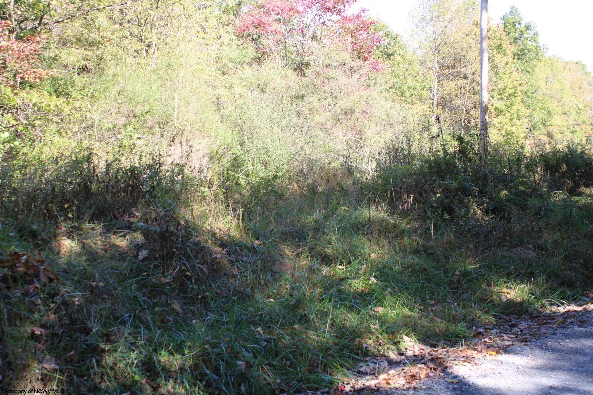1429 Sand Bank Road Masontown, WV 26542 - Photo 22 of 23 Gallery Image 22