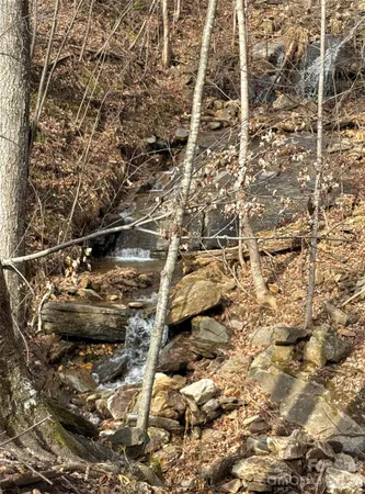 a view of backyard with green space