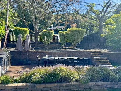 a view of a yard