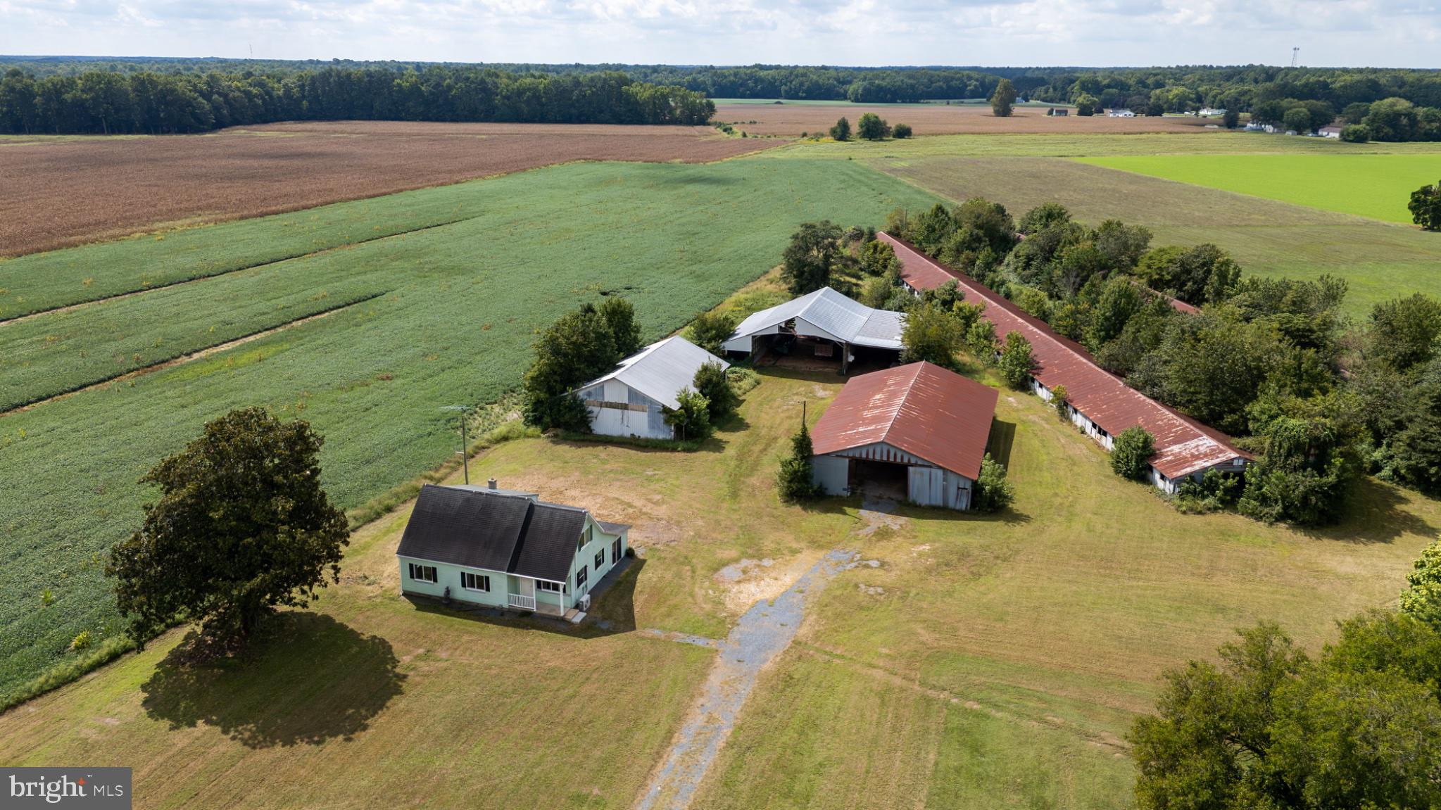 25699 Auction Road Federalsburg, MD 21632 - Photo 2 of 44 Gallery Image 2