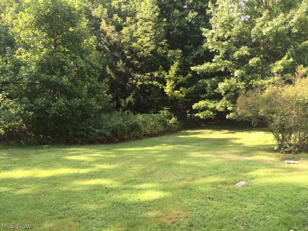 A backyard view to the northeast.  Again, the lot extends into the wooded area.