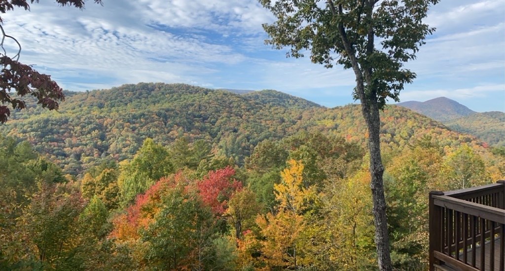 101 Falling Rock Road Cherry Log, GA 30522 - Photo 11 of 70