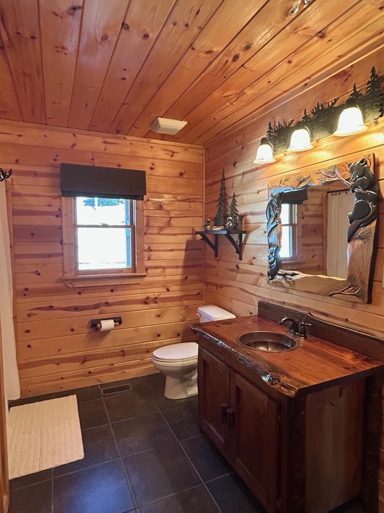 101 Falling Rock Road Cherry Log, GA 30522 - Photo 25 of 70 a bathroom with a sink a toilet and mirror