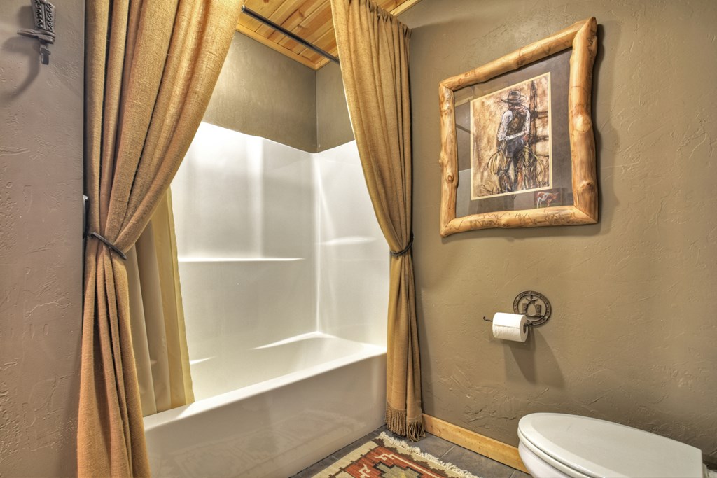 101 Falling Rock Road Cherry Log, GA 30522 - Photo 38 of 70 a bathroom with a toilet and a shower