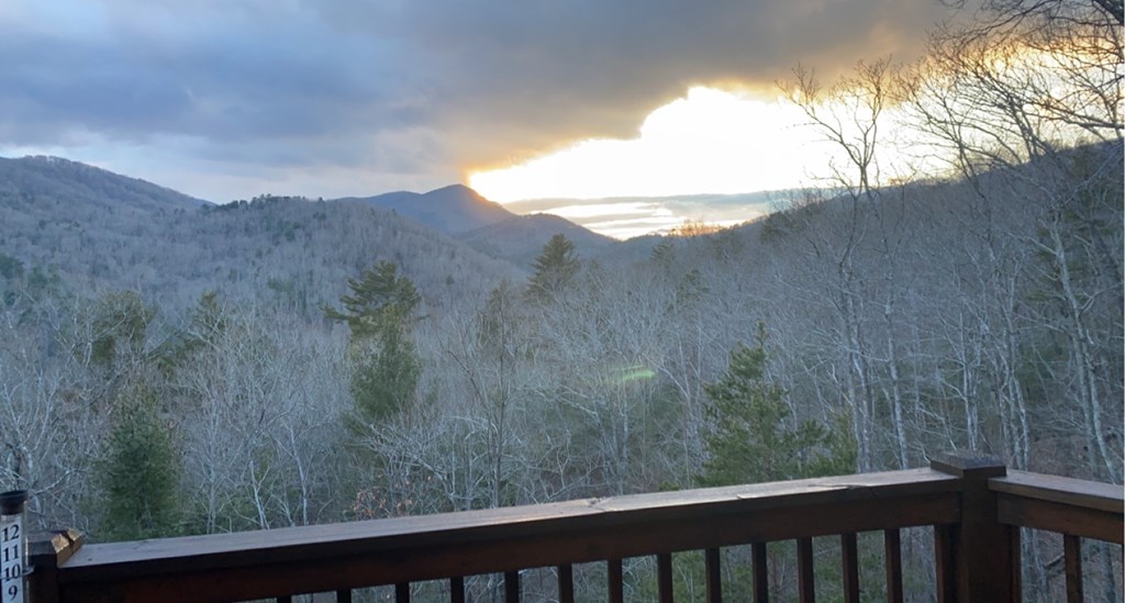 101 Falling Rock Road Cherry Log, GA 30522 - Photo 49 of 70 a view of a forest from a window