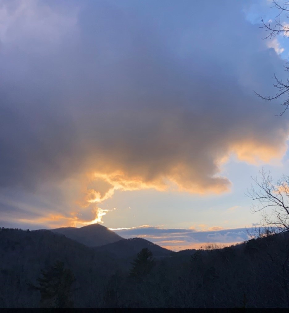 101 Falling Rock Road Cherry Log, GA 30522 - Photo 51 of 70
