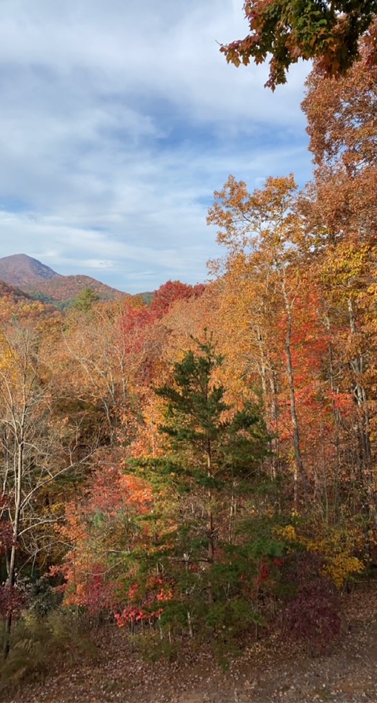 101 Falling Rock Road Cherry Log, GA 30522 - Photo 53 of 70