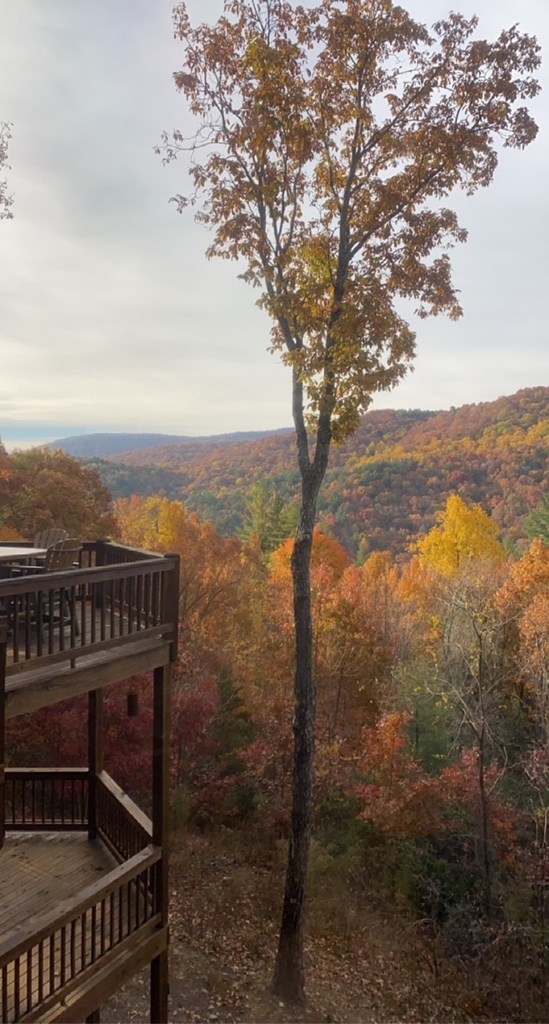 101 Falling Rock Road Cherry Log, GA 30522 - Photo 54 of 70 a view of a balcony with an outdoor space