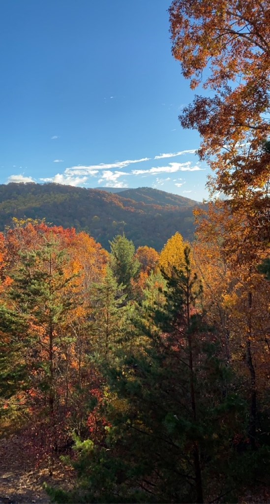 101 Falling Rock Road Cherry Log, GA 30522 - Photo 55 of 70