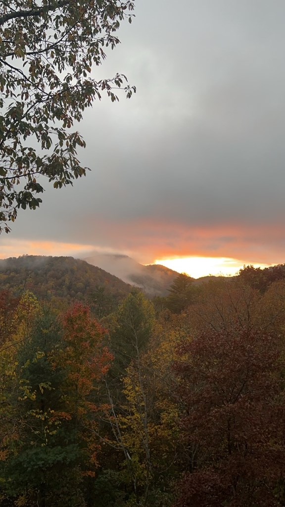 101 Falling Rock Road Cherry Log, GA 30522 - Photo 56 of 70