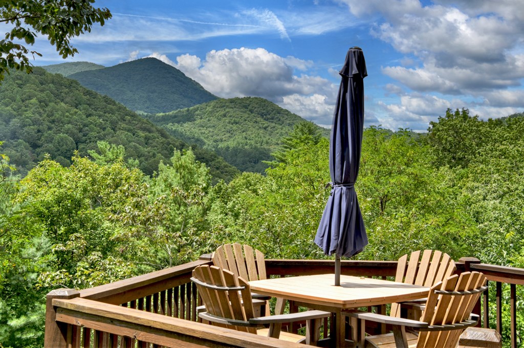 101 Falling Rock Road Cherry Log, GA 30522 - Photo 60 of 70