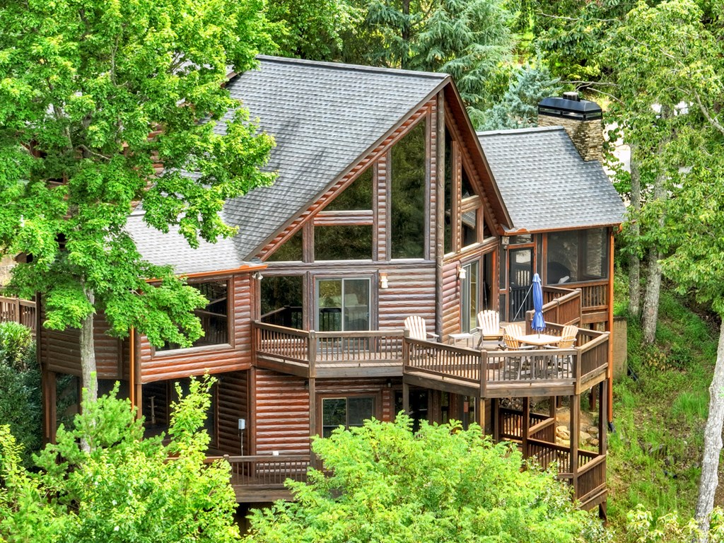 101 Falling Rock Road Cherry Log, GA 30522 - Photo 61 of 70 a aerial view of a house with a yard