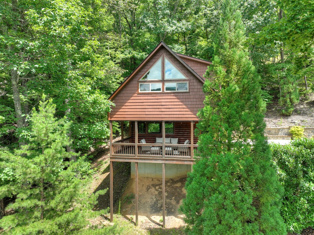 101 Falling Rock Road Cherry Log, GA 30522 - Photo 65 of 70