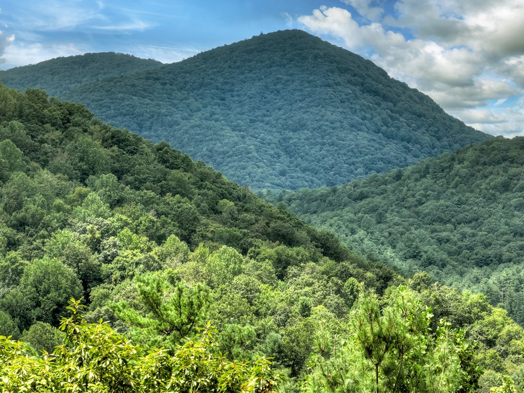 101 Falling Rock Road Cherry Log, GA 30522 - Photo 68 of 70