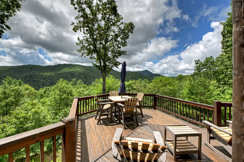 101 Falling Rock Road Cherry Log, GA 30522 - Photo 8 of 70