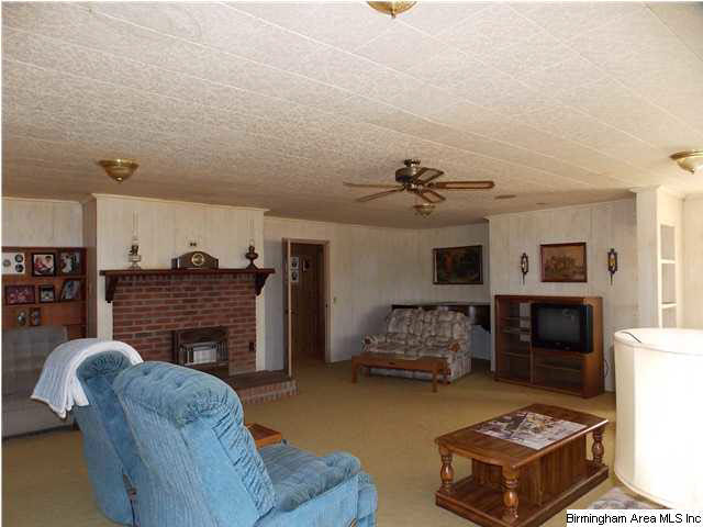 225 Plain View Drive Oneonta, AL 35121 - Photo 9 of 29 Gallery Image 9