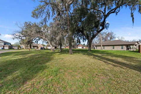 a view of yard with tree and green space