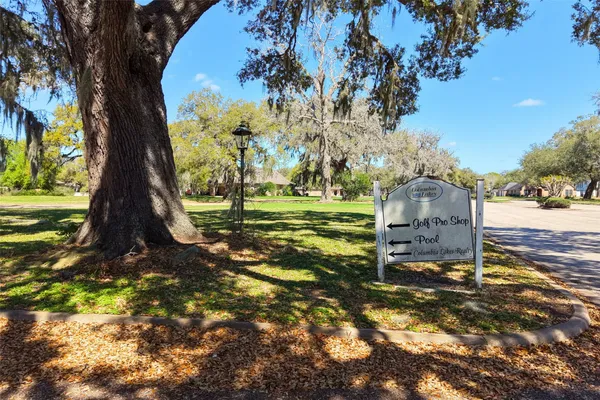 a view of a yard with plants